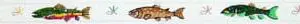 211-Trout Belt (Unpainted Background) 39 X 1.25