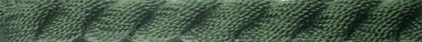 M-1146-Cactus