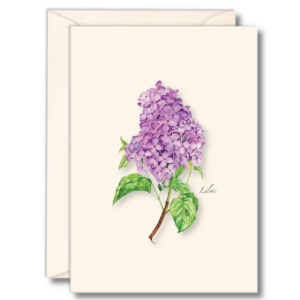 Lilac