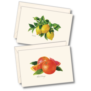Citrus Assortment Notecard Set