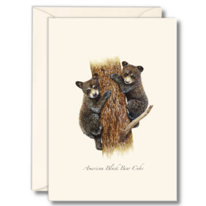 Black Bear Cubs Notecard Set