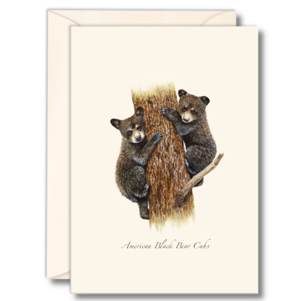 Black Bear Cubs Notecard Set