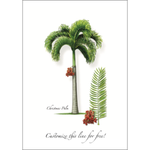 Xmas Palm