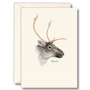 Reindeer