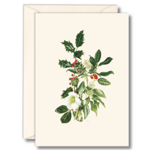 Hellebore & Holly
