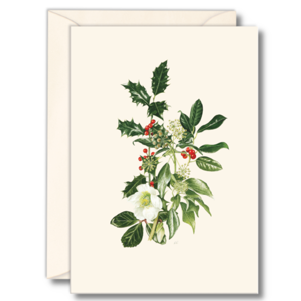 Hellebore & Holly