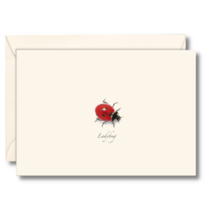 Ladybug Notecard Set