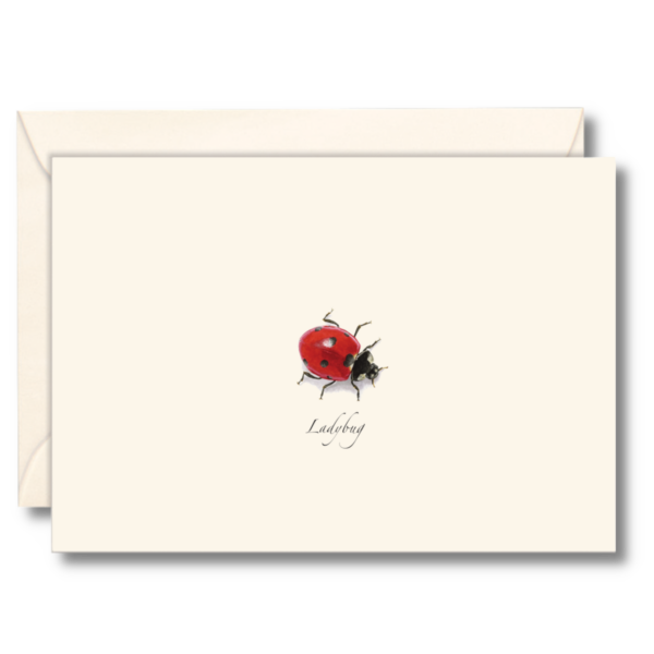 Ladybug Notecard Set