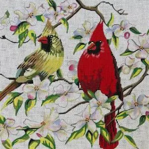 Cardinal Couple 16 x 12 13M