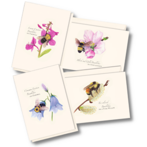 Spring Bee Assortment