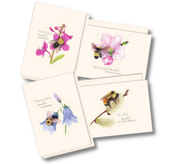 Spring Bee Assortment