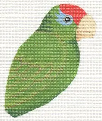 LL300T Red Headed Amazon