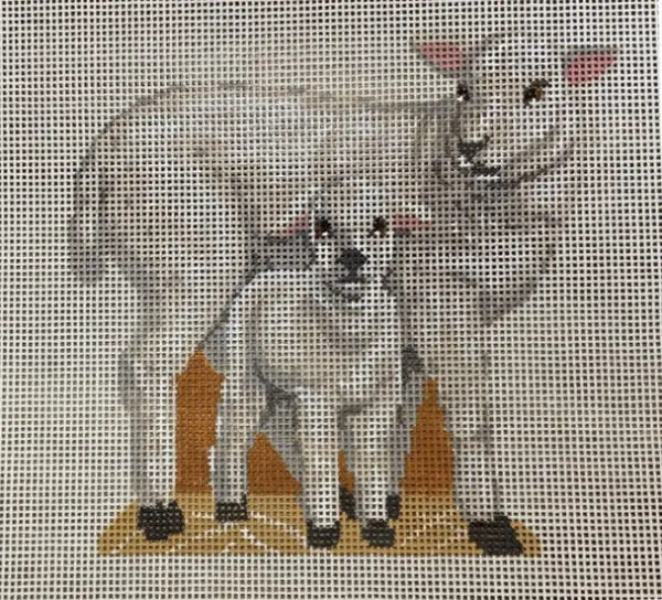 LL422N Nativity Sheep