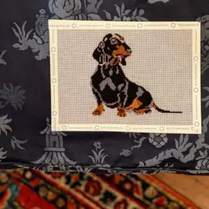 PIP-0178 Mini Dachshund