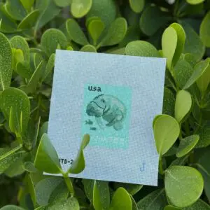 Manatee Stamp 3" x 4" - 18 mesh