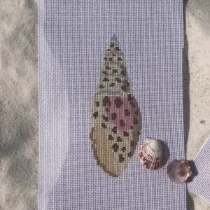 Junonia Shell- 18 mesh