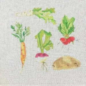 Vegetables 8" x 8" -18 Mesh
