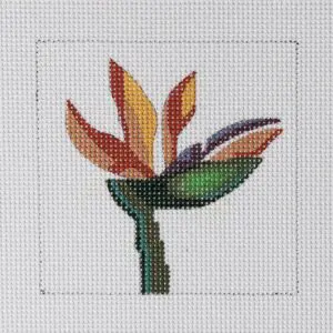 Bird of Paradise Mini-4" Square-13 Mesh