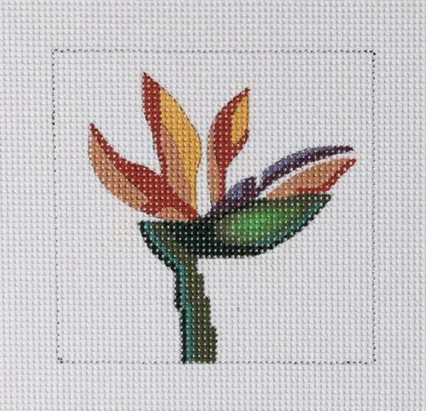 Bird of Paradise Mini-4" Square-13 Mesh