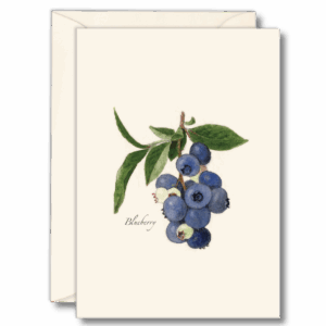 Blueberry Recycled Paper Notecard Set