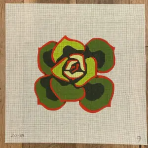 Succulent-12" Square-13 Mesh