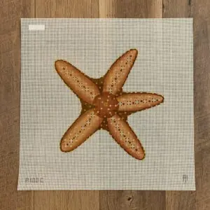 Brown Starfish-12" Square-13 Mesh