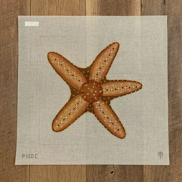 Brown Starfish-12" Square-13 Mesh