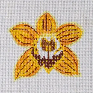 Yellow Orchid Mini-4” x 3 1/2"-13 Mesh
