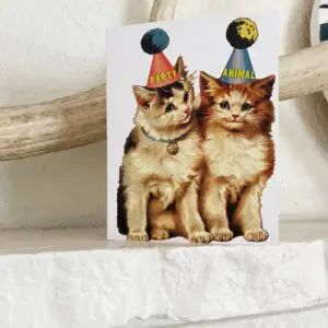 Party Cats Funny Birthday or Celebration Card