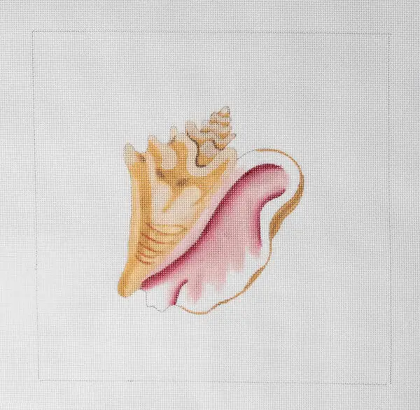 Conch Solo-12" Square-13 Mesh