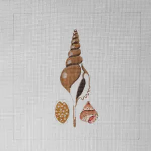 Three Shells 2-13 Mesh