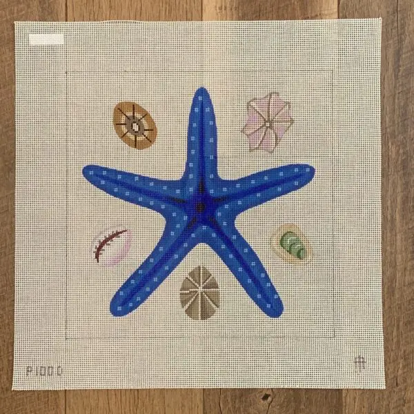 Blue Starfish-12" Square-13 Mesh