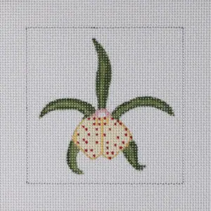 Green Orchid Mini-3 1/4" x 4"-13 Mesh