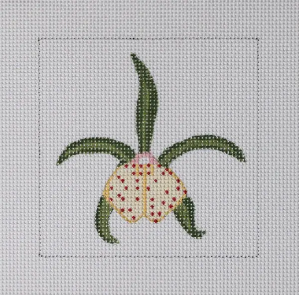 Green Orchid Mini-3 1/4" x 4"-13 Mesh