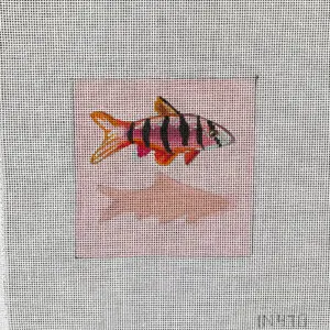 IN470-Fish Coaster-4" x 4" - 18M