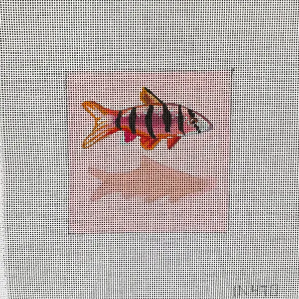 IN470-Fish Coaster-4" x 4" - 18M