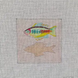 IN471-Fish Coaster-4" x 4" - 18M