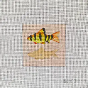 IN473-Fish Coaster-4" x 4" - 18M