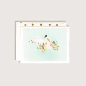 Baby Stork Mint Color Greeting Card
