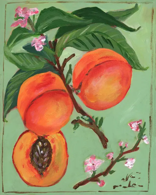 Peaches Greeting Card