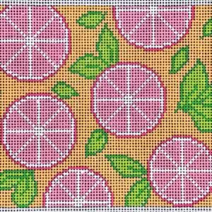 Grapefruit Slices 4 x 7 insert-18 Mesh