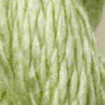 C-064- Daiquiri