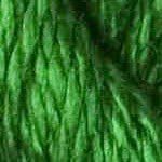 C-062- Fern