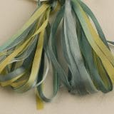 Paua Shell