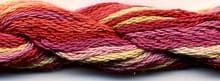 S-017 Mango Tango