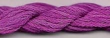 S-175 Dragon Fruit