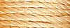 2024 - Medium Buttercup