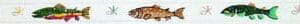211-Trout Belt (Unpainted Background) 39 X 1.25