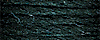 4067 - Very Dark Holly