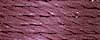 6126 - Dark Dusty Lavender